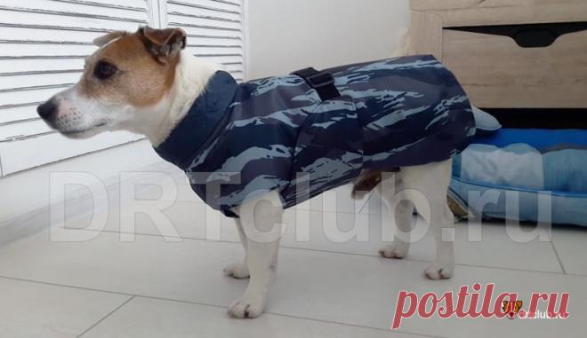 Как сшить утеплённую попону для собаки своими руками