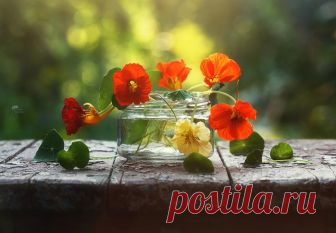 ❀ Лето - это... Фотограф Инна Сухова ❀