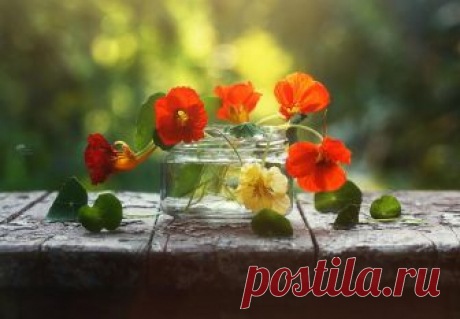 ❀ Лето - это... Фотограф Инна Сухова ❀