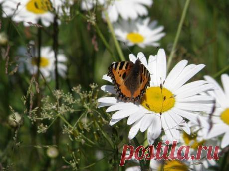 Избранное | Фотографии Елена Жёлтышева | 75 фото