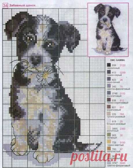 cross-stitch puppy &lt;3 | Animales punto de cruz