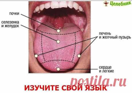 Здоровье сила