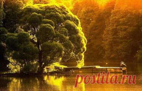 Царицыно в лучах вечернего солнца...