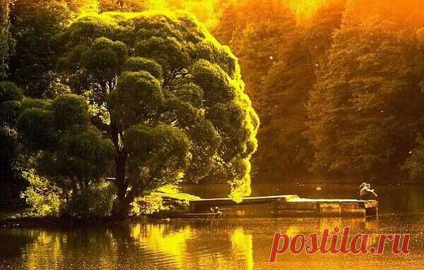 Царицыно в лучах вечернего солнца...