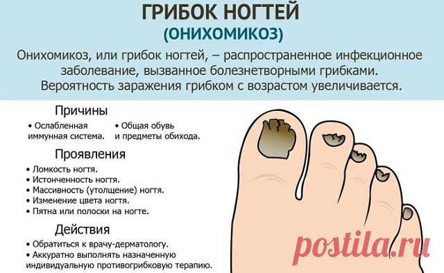 (1) Одноклассники