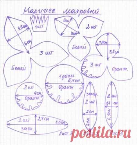 Цветочная ЭНЦИКЛОПЕДИЯ | ВКонтакте