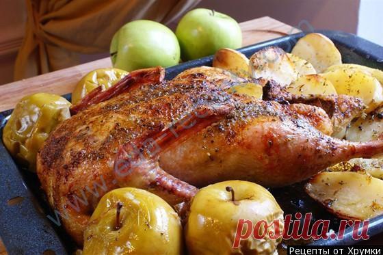 Кулинарный рецепт Утка с яблоками с фото