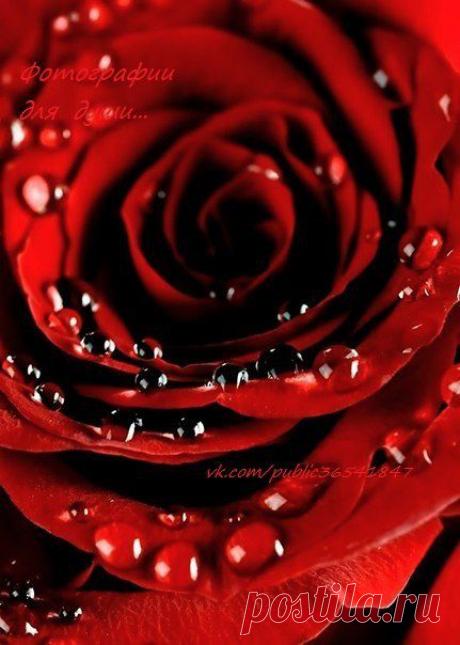 Красивые Картинки