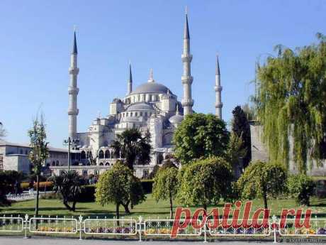 1270488833_turkey