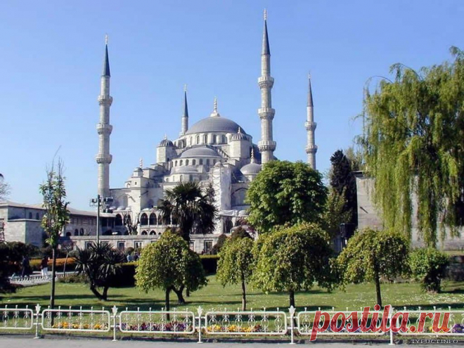 1270488833_turkey