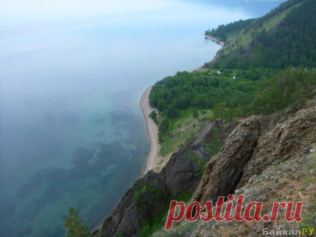 Большие коты фото — Байкал