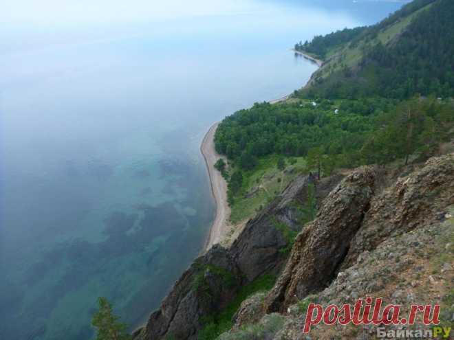 Большие коты фото — Байкал