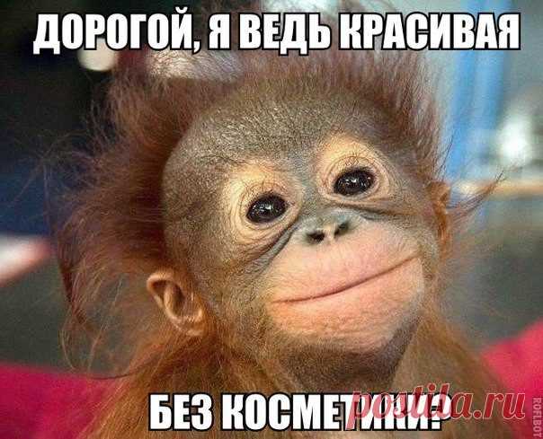 Смехопанорама. Реально классные приколы! / Писец - приколы интернета