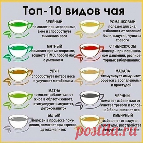 Топ-10 видов чая
А кaкой чaй ваш любимый чай?