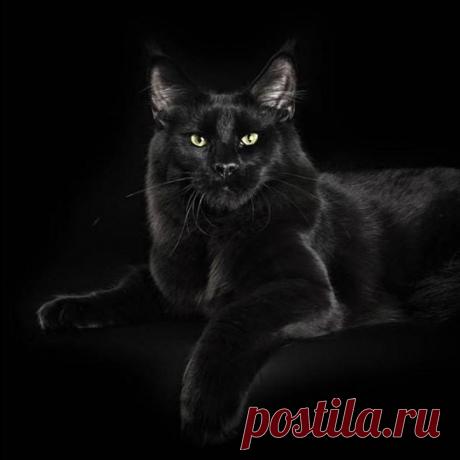 (7) Вера Карпушина