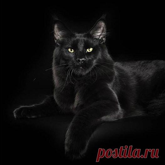 (7) Вера Карпушина