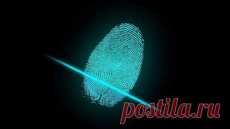Почему следует отказаться от разблокировки экрана смартфона по отпечатку пальца | it-tuner.ru Технология сканирования отпечатков пальцев произвела настоящий фурор, когда ее представила компания Apple в 2013 году на презентации iPhone 5S. Име...
