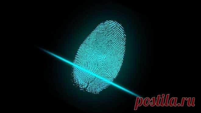 Почему следует отказаться от разблокировки экрана смартфона по отпечатку пальца | it-tuner.ru Технология сканирования отпечатков пальцев произвела настоящий фурор, когда ее представила компания Apple в 2013 году на презентации iPhone 5S. Име...