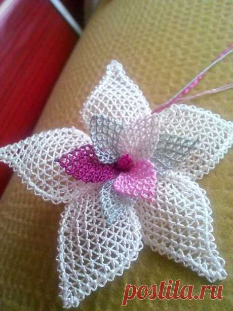 (32) Pinterest