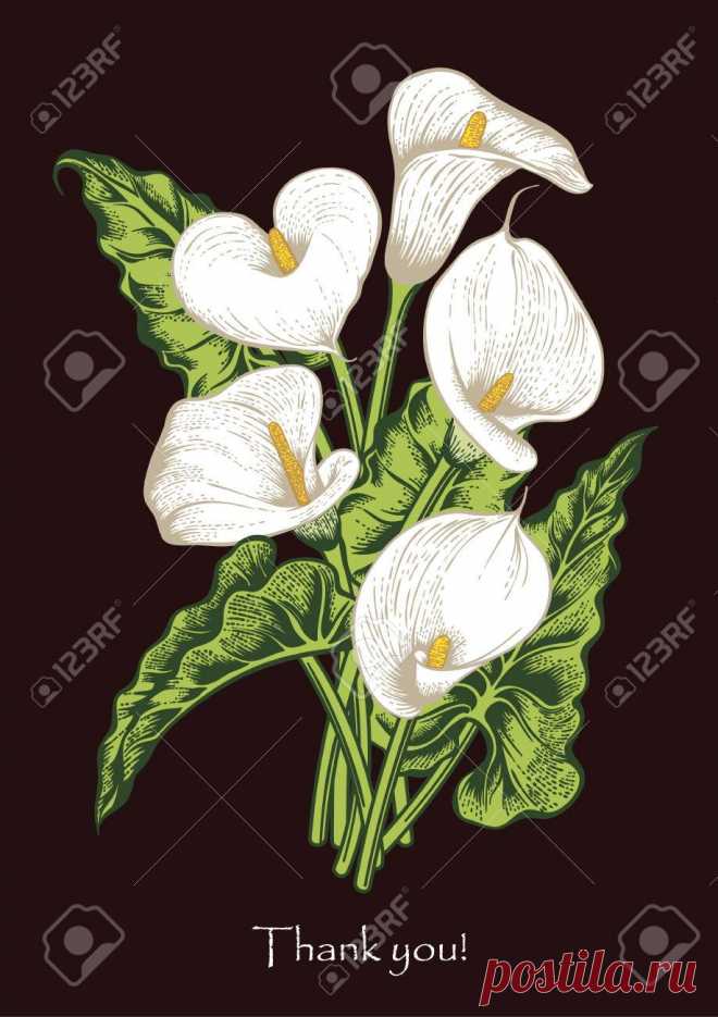 Ramo De Flores. Tarjeta De Boda. Ilustraciones Vectoriales, Clip Art Vectorizado Libre De Derechos. Image 66833702. Просматривайте этот и другие пины на доске Clip Art пользователя Ramo De Flores.
Теги
Ramo De Flores.
El tarjeta de boda.
Vector illustration.
Ramo De Flores.
El tarjeta de boda.
Vector illustration.
El tarjeta de boda.
El tarjeta de boda.
El tarjeta de boda.
El tarjeta de boda.
El tarjeta de boda.
El tarjeta de boda.
El tarjeta de boda.
Imagen de
Ramo De Flores.
El tarjeta de bo…