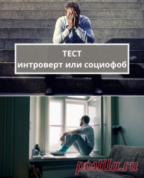 Тест: интроверт или социофоб | Психология
