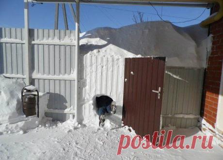 Да, сколько снега за ночь намело