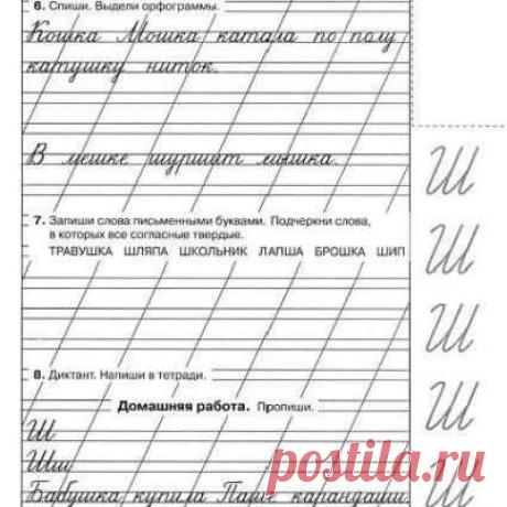 Учитель начальной школы