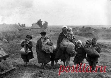 Воспоминания моей бабушки о войне 1941 года - ИСТОРИИ ИЗ РЕАЛЬНОЙ ЖИЗНИ: Война – это страшное слово, которое заставляет учащенно биться наши сердца, а память воскрешать события минувших лет...