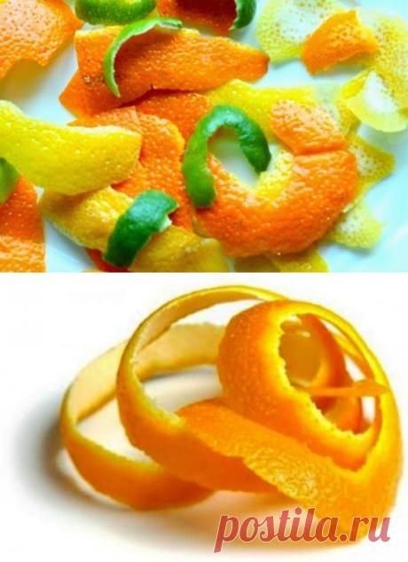 Полезные пищевые отходы, которые не стоит выбрасывать