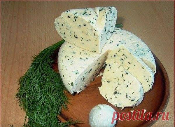 Chronik-Fotos - Наслаждаться здоровьем | Facebook Вкусный сыр, приготовить может каждый.