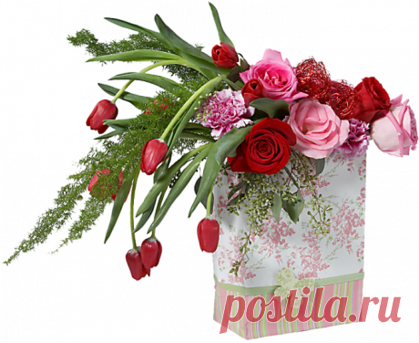 69784901_01.png (670×548)