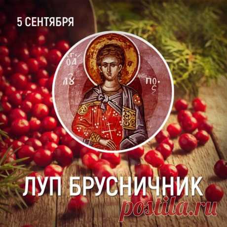 Многовековые наблюдения за природой вылились в многочисленные приметы, связанные с днем Луппа Брусничника