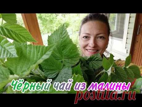 ЧАЙ СВОИМИ РУКАМИ ИЗ ЛИСТЬЕВ МАЛИНЫ | ВКУСНО И ПОЛЕЗНО С ОГОРОДА