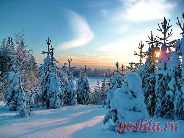 зимний вечер