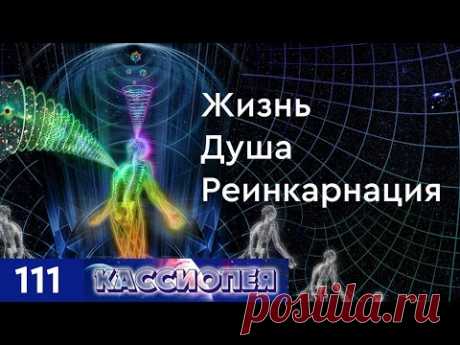 Жизнь, душа и реинкарнация. Триединство природы духа: разум, сердце, энергия. #111