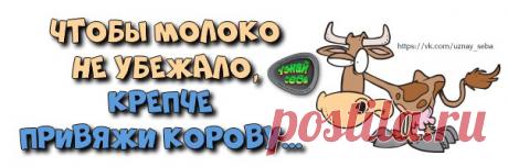 Чтобы молоко не убежало,
крепче привяжи корову...

Узнай себя ツ