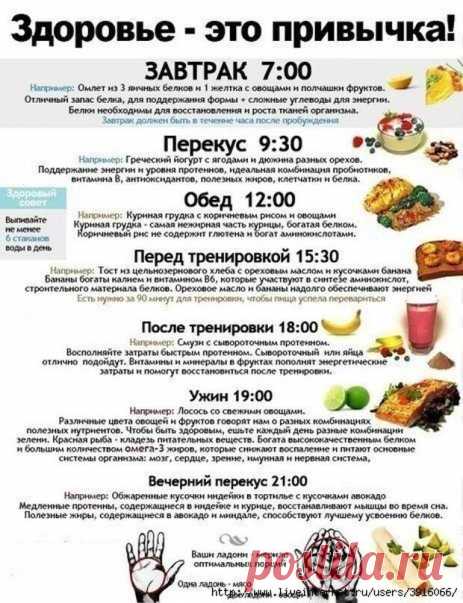 ЛУЧШАЯ ПАМЯТКА ПО ПРАВИЛЬНОМУ ПИТАНИЮ