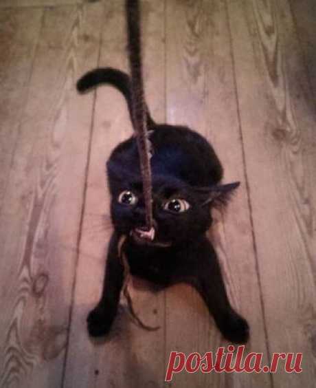 Отдай!