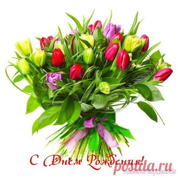 Поздравляем с Днём рождения всех, кто родился сегодня -3 февраля 😘😘😘
