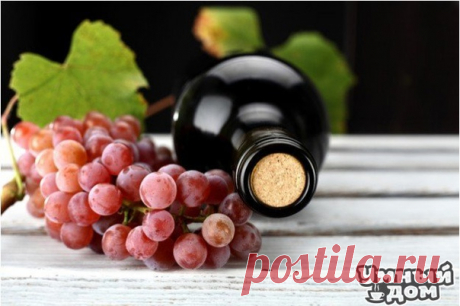 6 советов, как приготовить вино у себя дома! 🍷Совет №1: не используем металлические емкости🍷 Перед тем как начать готовить вино дома, подготовьте необходимую тару. Это могут быть дубовые бочонки, стеклянные банки, эмалированные бачки или ведра. Следует избегать металлической посуды. Вымойте заранее посуду под холодной и лишь затем под горячей водой, используя пищевую соду. Это все нужно для того, чтобы устранить посторонние запахи. 🍷Совет №2: выбираем правильные ингредиенты🍷 Выбирайте лишь…