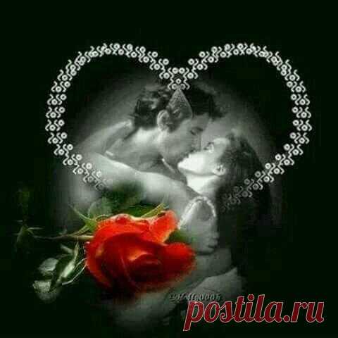 Сообщения