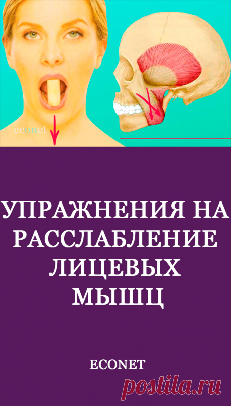 Упражнения на расслабление лицевых мышц

Самыми первыми на наши чувства реагируют лицевые мышцы. Люди даже не замечают, как непроизвольно хмурят брови, сжимают зубы, опускают уголки губ, услышав неприятную новость, почувствовав разочарование или просто при взгляде на неприятного для них человека. Так незаметно формируются мимические морщины, визуально набавляя возраст. Выглядеть моложе помогут простые упражнения для расслаб
