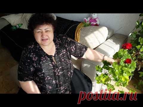 1. Весенняя Обрезка Герани  (Пеларгонии)