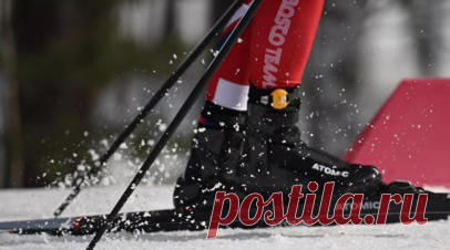 В Подмосковье назвали главные зимние занятия проекта «Активное долголетие». Участники проекта «Активное долголетие» в Московской области выбирают катание в упряжке, лыжи, коньки и кёрлинг. На свежем воздухе занимаются более 8 тыс. жителей пожилого возраста. Читать далее