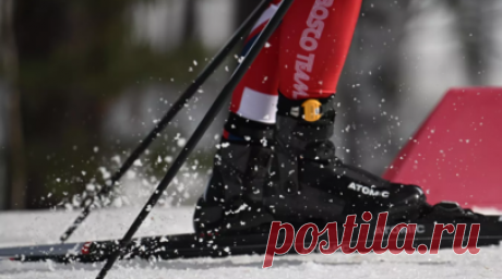 В Подмосковье назвали главные зимние занятия проекта «Активное долголетие». Участники проекта «Активное долголетие» в Московской области выбирают катание в упряжке, лыжи, коньки и кёрлинг. На свежем воздухе занимаются более 8 тыс. жителей пожилого возраста. Читать далее