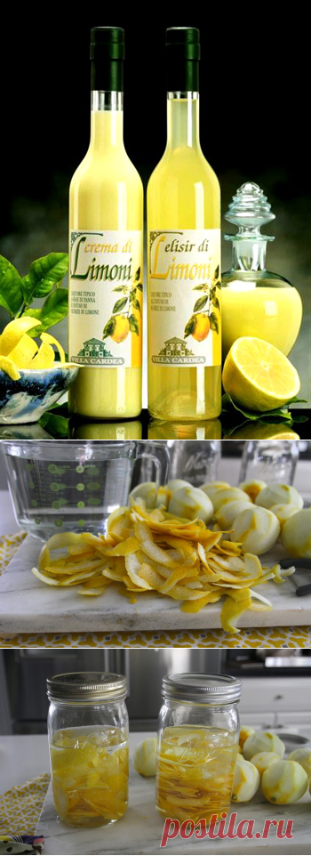 Ликёр Лимончелло приготовим сами - Perchinka63