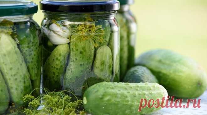 Выращиваю огурцы для хруста и вкуса. Что делаю на грядке, чтобы они не были пустотелыми и мягкими | Про посадки