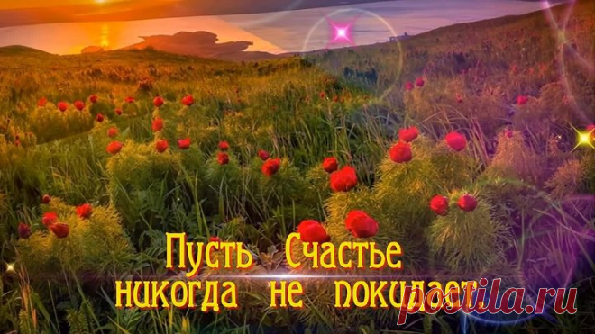 Пусть счастье Вас не покидает!🌼(Бесплатная открытка )🌷