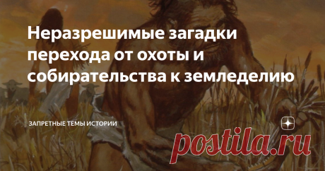 Неразрешимые загадки перехода от охоты и собирательства к земледелию Предыдущую публикацию по данной теме вы можете прочитать по этой ссылке. Детали и подробности перехода от охоты и собирательства к земледелию, восстановленные к настоящему времени буквально переполнены неразрешенными загадками.  Скажем, во всей Северной Америке южномексиканский очаг древнего земледелия занимает лишь около 1/40 всей территории обширного континента. Примерно такую же площадь занимает перуан...