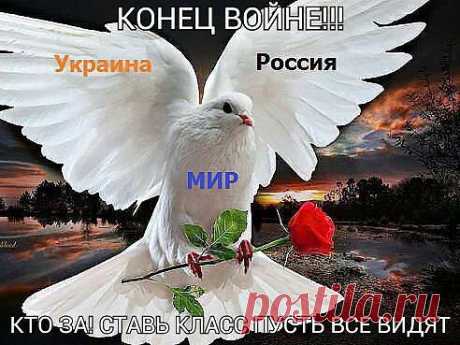 ПУСТЬ ВСЕ ВИДЯТ!!